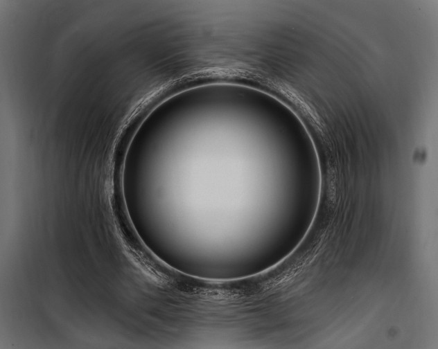 X0000100750486200806191147