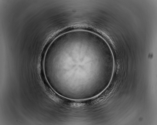 X0000100750487200806191147