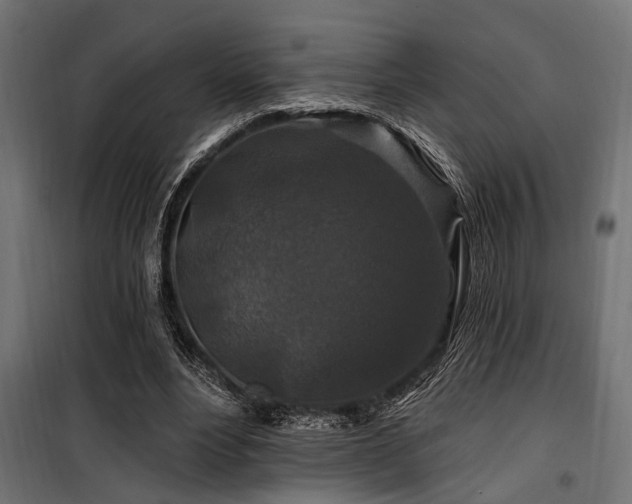 X0000100750488200806191147