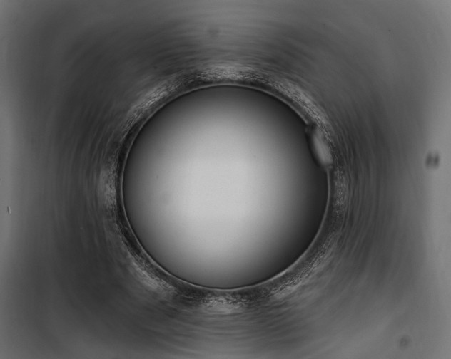 X0000100750489200806191147