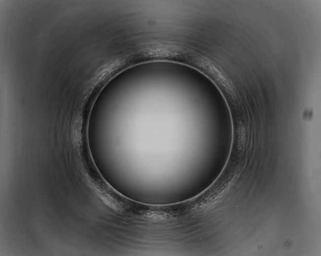 X0000100750490200806191147