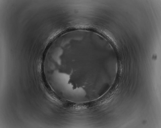 X0000100750491200806191147