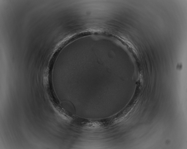 X0000100750492200806191147