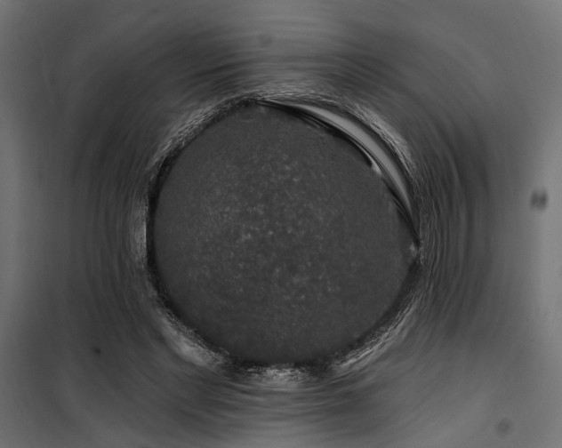 X0000100750493200806191147