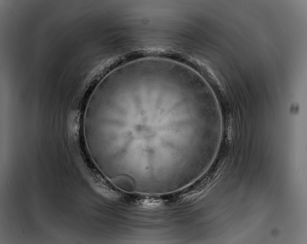 X0000100750495200806191147