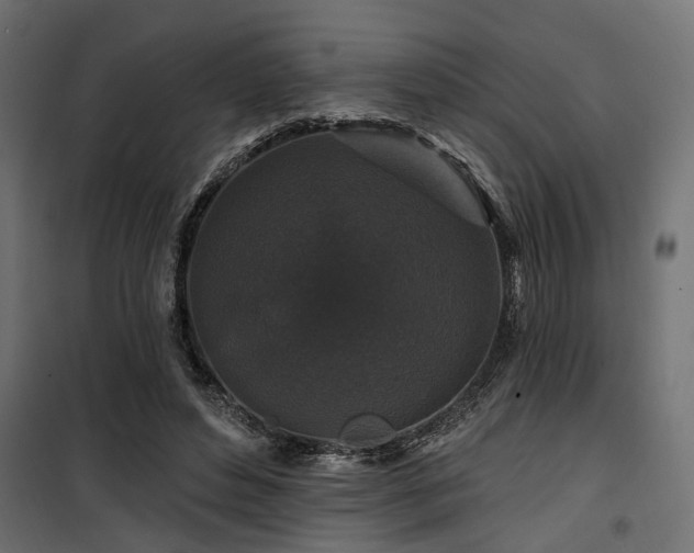 X0000100750496200806191147