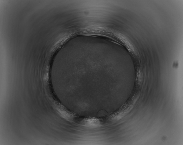 X0000100750501200806191147