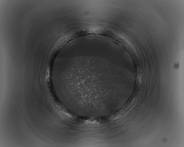 X0000100750502200806191147