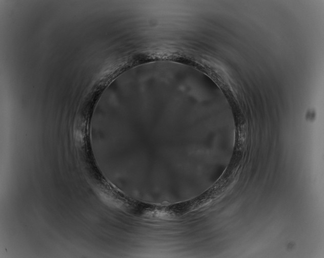 X0000100750503200806191147