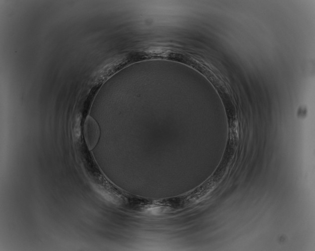 X0000100750504200806191147