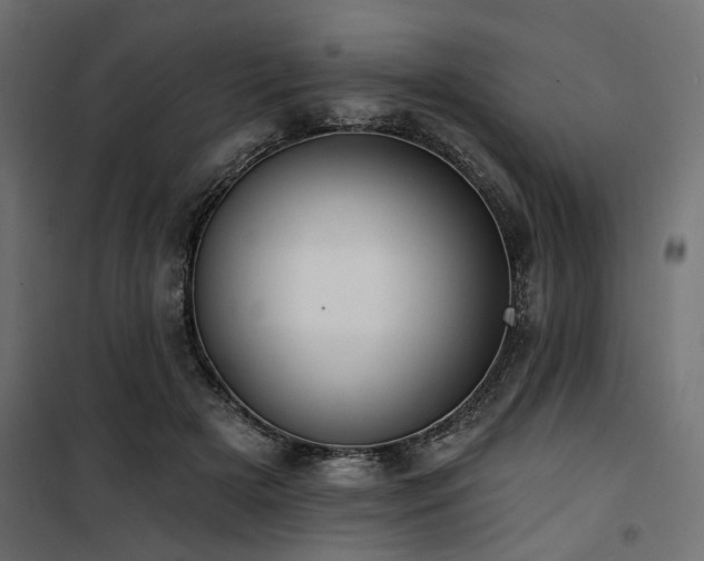 X0000100750505200806191147