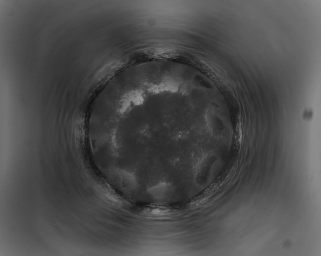 X0000100750506200806191147