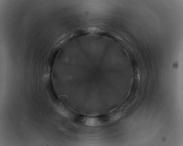 X0000100750507200806191147