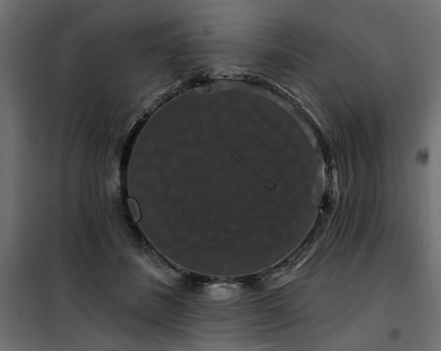 X0000100750508200806191147