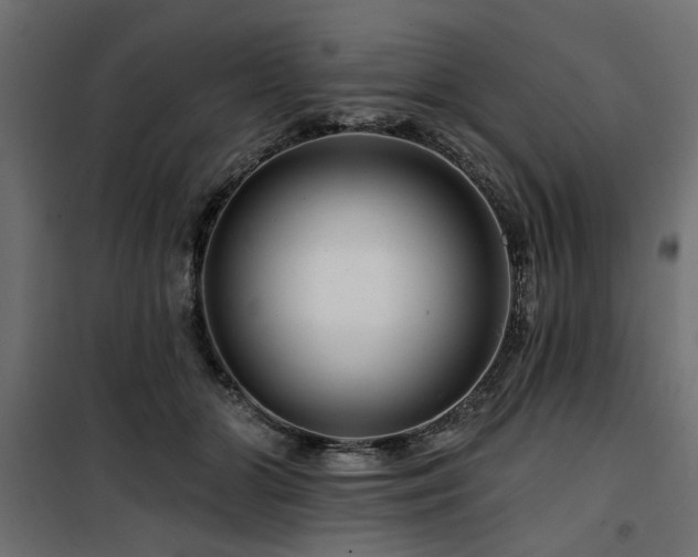 X0000100750510200806191147