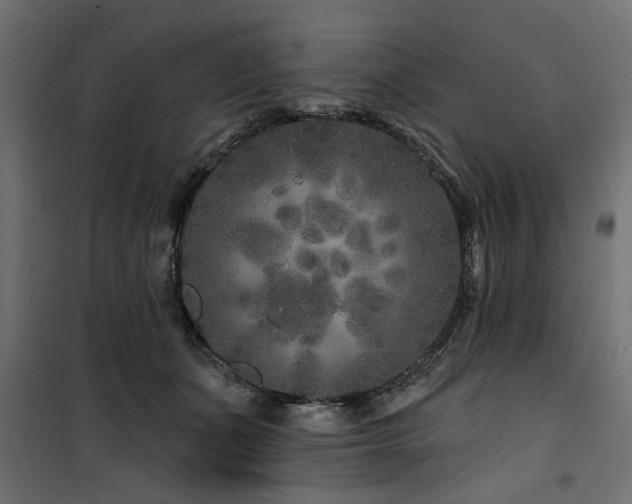 X0000100750511200806191147