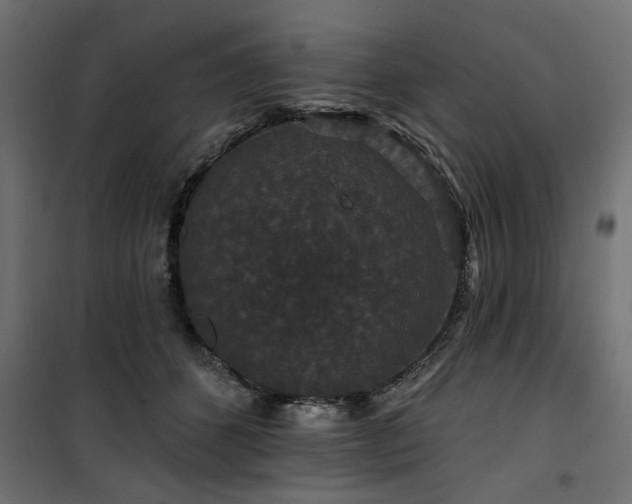 X0000100750512200806191147