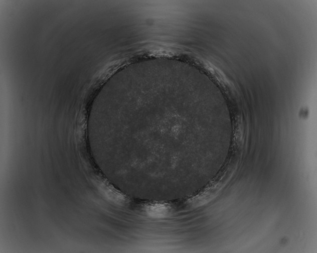 X0000100750513200806191147