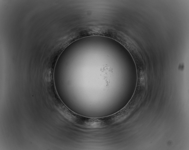 X0000100750514200806191146