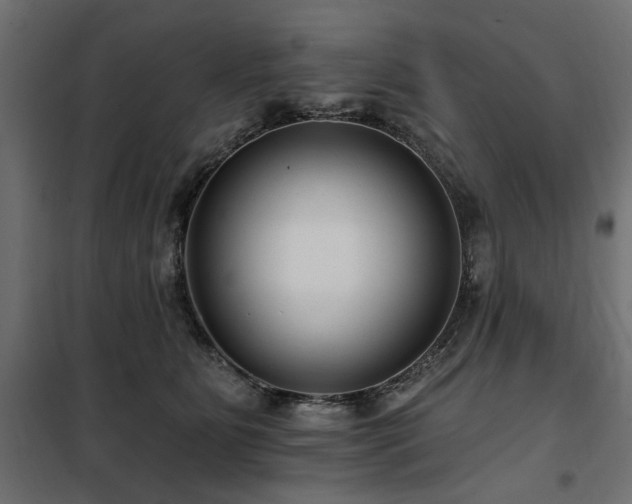 X0000100750515200806191146