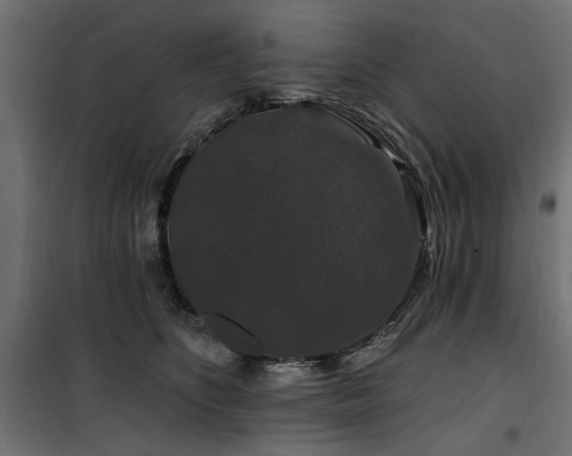 X0000100750516200806191146