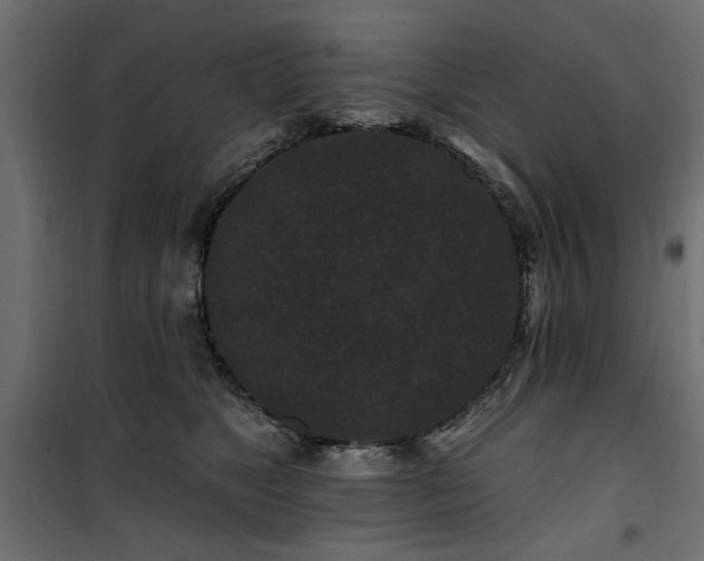 X0000100750517200806191146