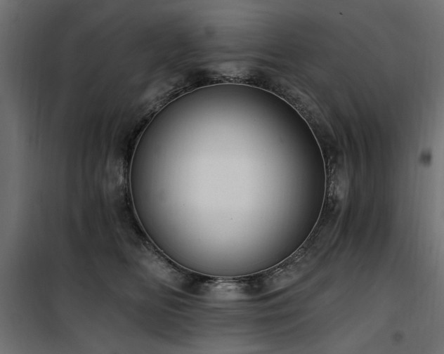 X0000100750518200806191146