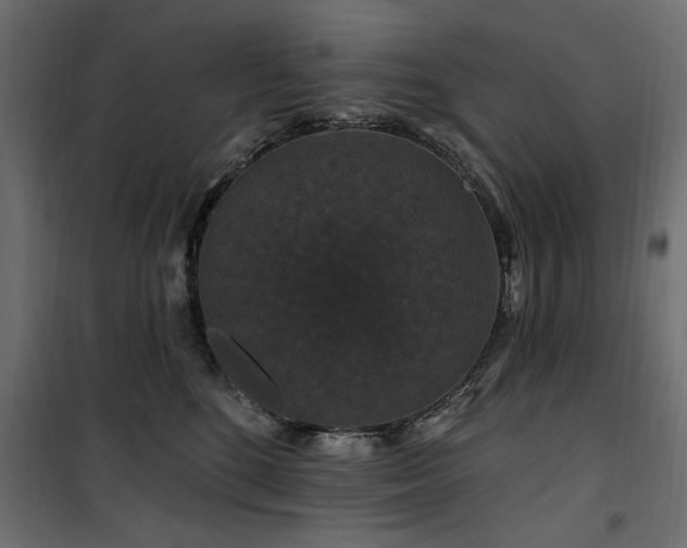 X0000100750520200806191146