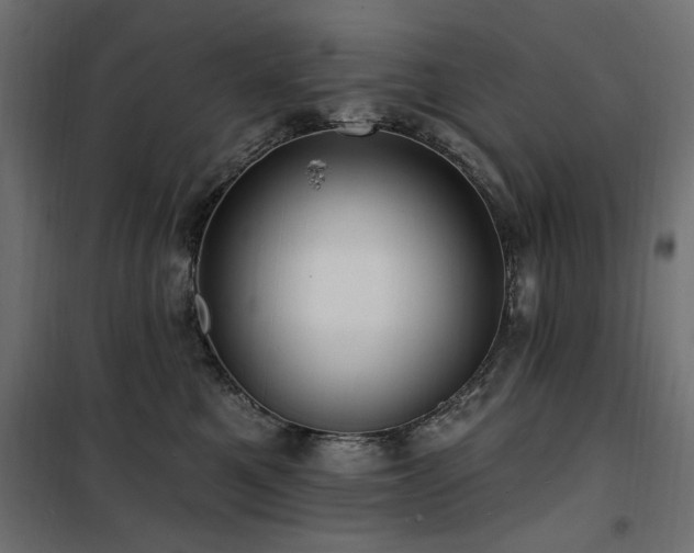 X0000100750521200806191146