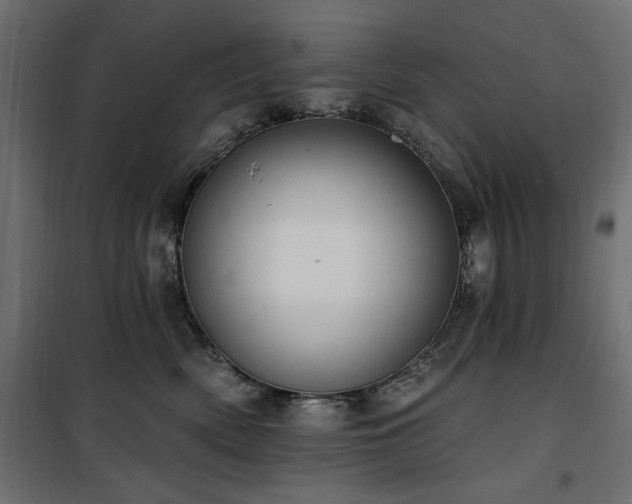 X0000100750522200806191146