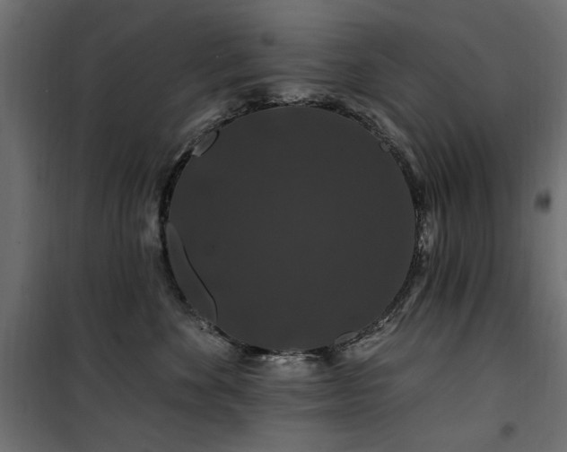 X0000100750524200806191146