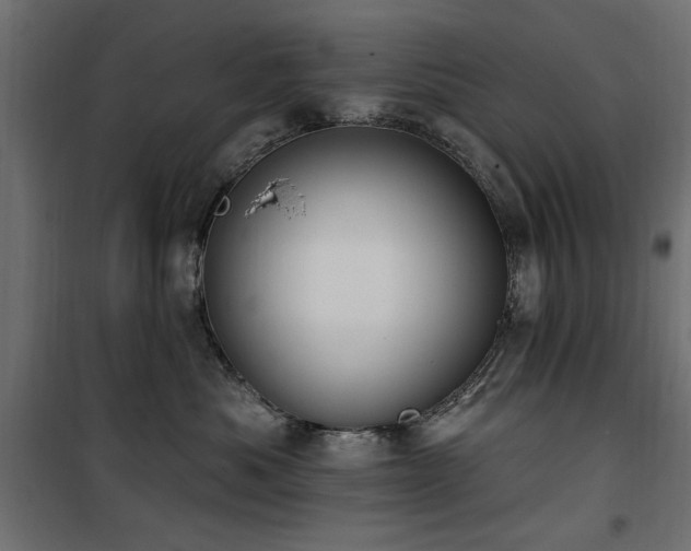 X0000100750525200806191146