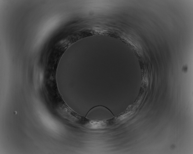 X0000100750526200806191146