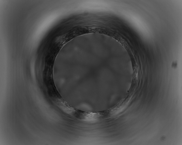 X0000100750527200806191146