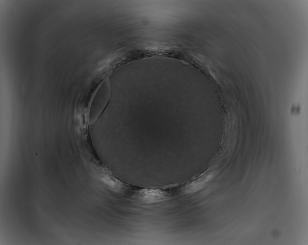 X0000100750528200806191146