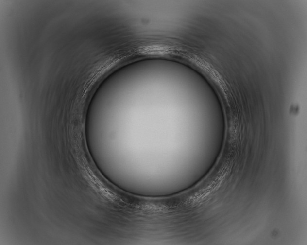 X0000100750529200806191146