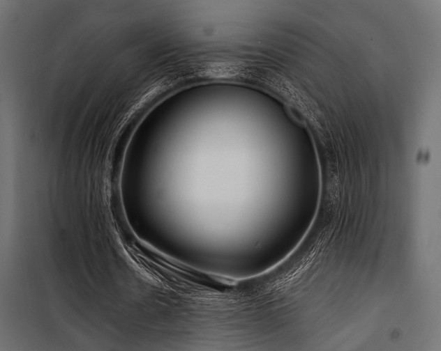 X0000100750530200806191146