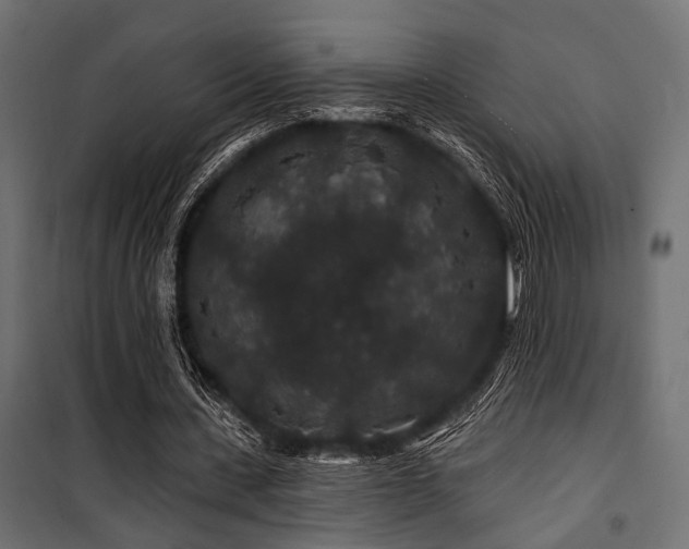 X0000100750531200806191146