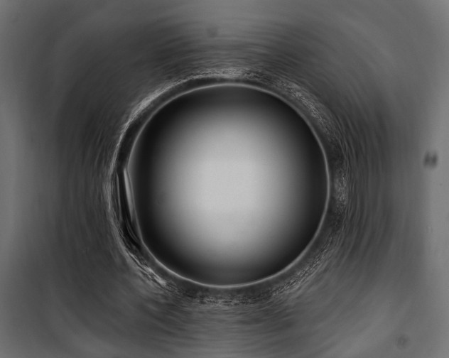 X0000100750532200806191146