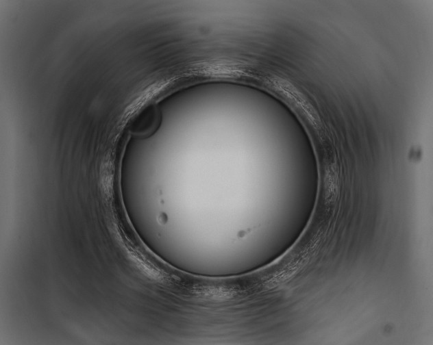 X0000100750533200806191146