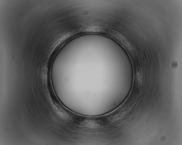 X0000100750534200806191146