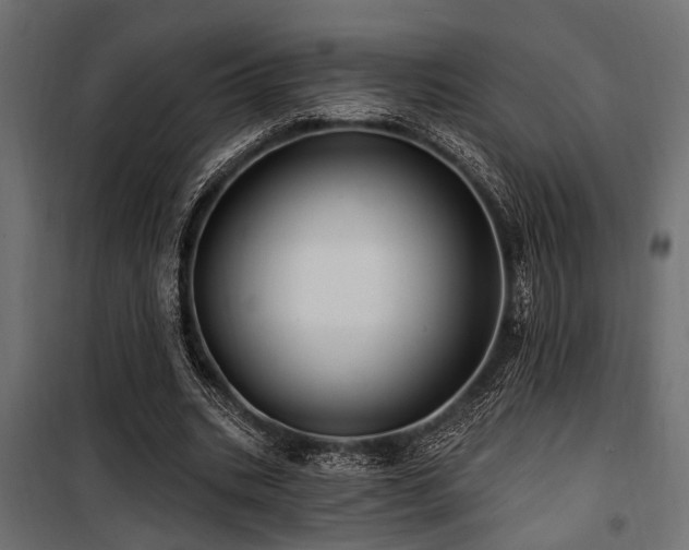 X0000100750535200806191146