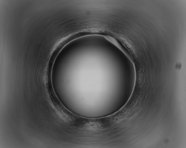 X0000100750536200806191146