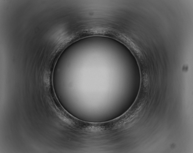 X0000100750537200806191146