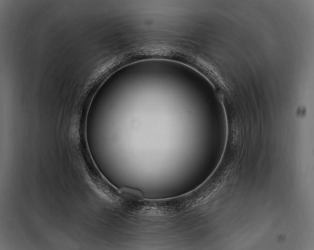 X0000100750538200806191146