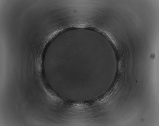 X0000100750540200806191146