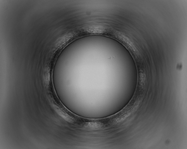 X0000100750541200806191146