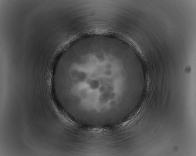 X0000100750542200806191146