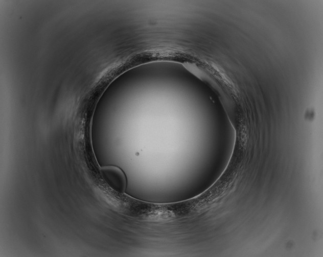 X0000100750543200806191146