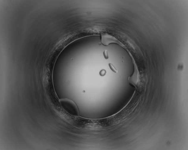 X0000100750544200806191146